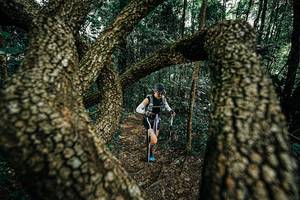 BIB: 
                            <button type="button" onclick="openModal(25392784)" class="btn btn-primary btn-sm float-right btn-popup" data-toggle="modal" data-target=".modal-high-quality">
                        <i class="fas fa-shopping-cart"></i> Add to Cart
                    </button>
                                            <button type="button" onclick="isThisMe(25392784, true)" class="btn btn-success btn-sm float-right btn-popup btn-isme hidden" data-toggle="tooltip" data-placement="bottom" title="นี่คือรูปของคุณใช่ไหม คลิกที่นี่เพื่อเอาเข้าอัลบั้ม">
                        <i class="fas fa-plus"></i> Add to album
                    </button>
                    <button type="button" onclick="isThisMe(25392784, false)" class="btn btn-warning btn-sm float-right btn-popup btn-isnotme hidden">
                        <i class="fas fa-ban"></i> Remove from album
                    </button>